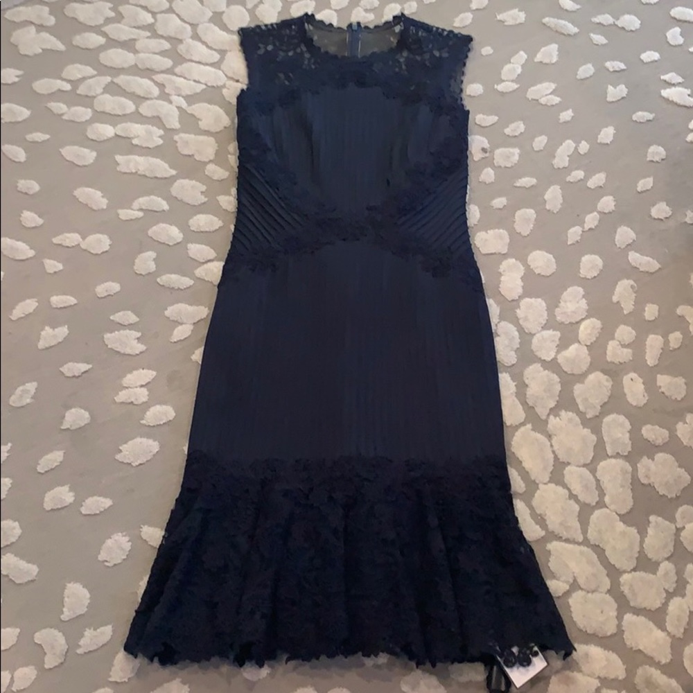 Tadashi Shoji Beautiful Dress